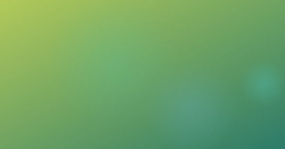 鞭刑测评：5步避开误读